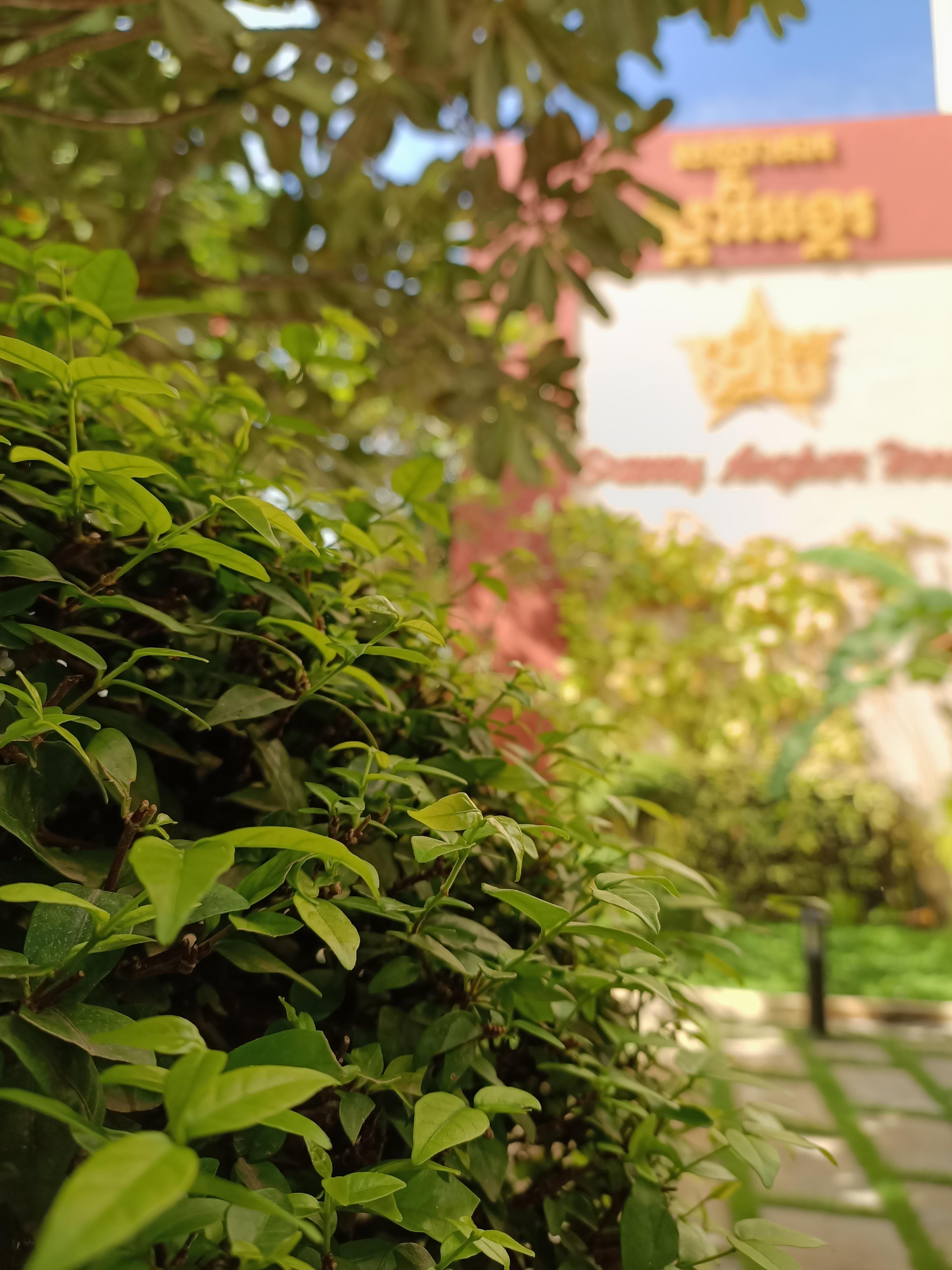 Starry Angkor Hotel Siem Reap Exterior photo
