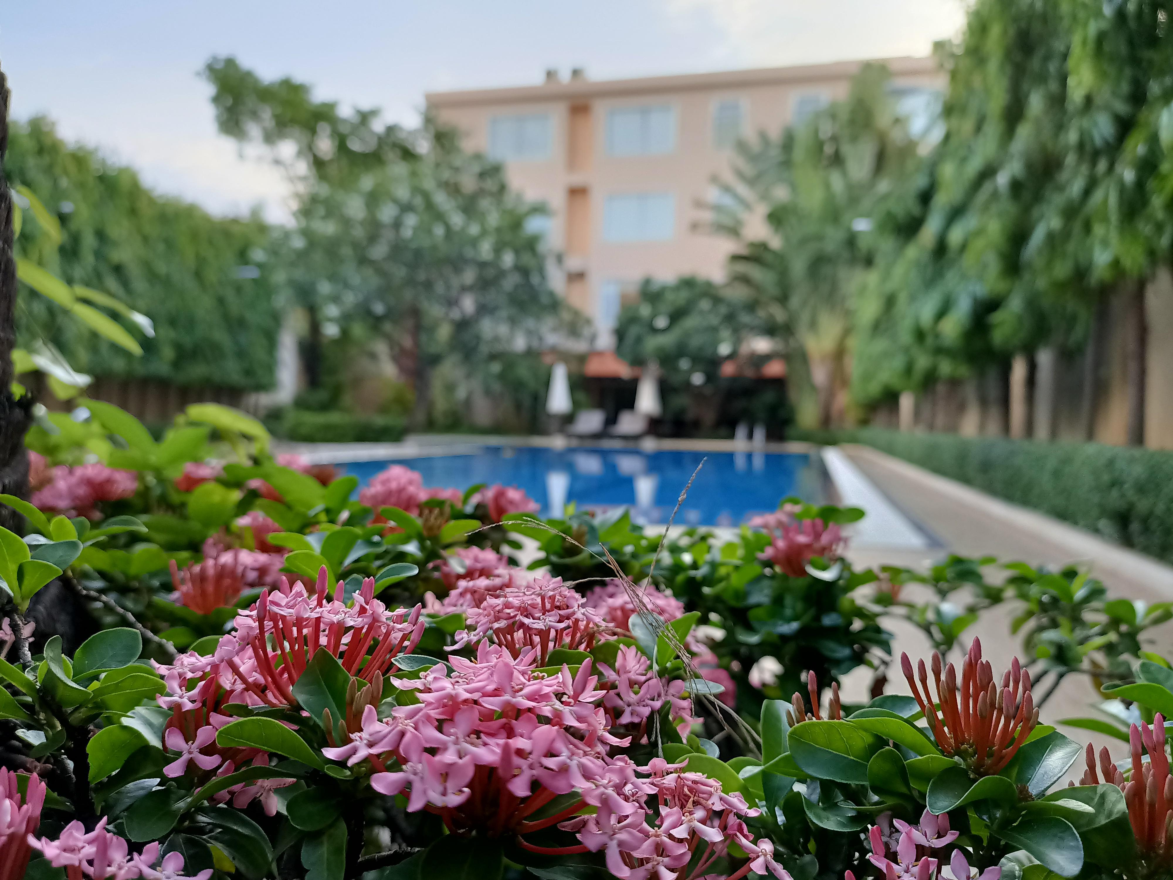 Starry Angkor Hotel Siem Reap Exterior photo