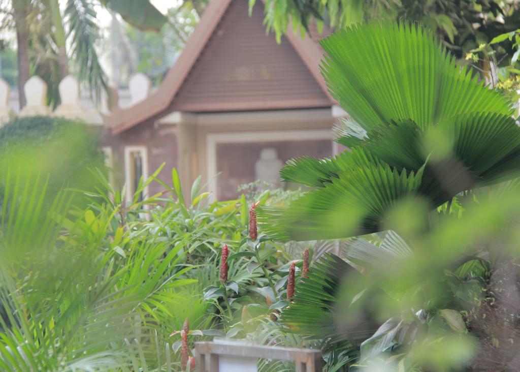 Starry Angkor Hotel Siem Reap Exterior photo