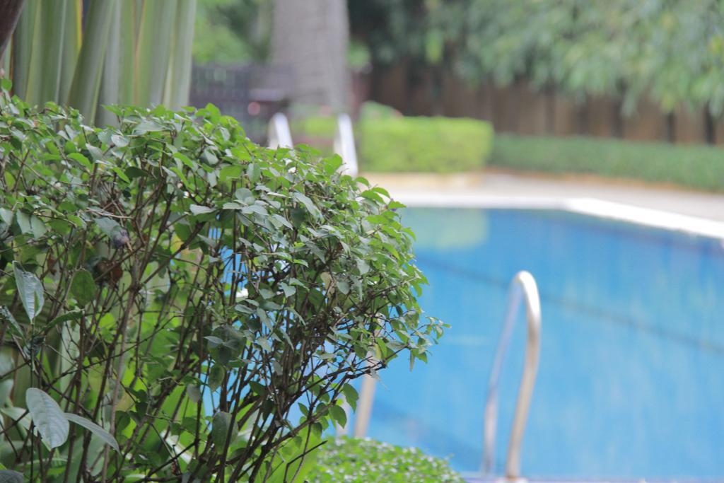 Starry Angkor Hotel Siem Reap Exterior photo